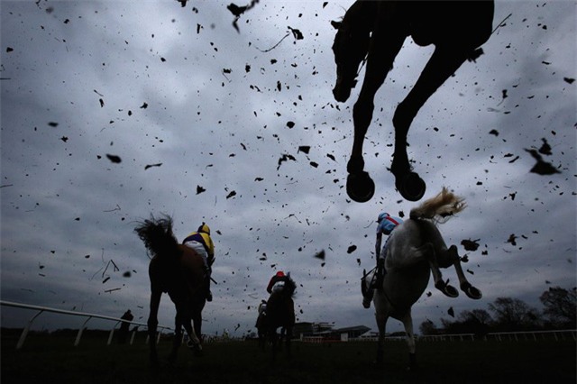 Màn tranh tài khốc liệt ở giải vô địch đua ngựa ở Anh