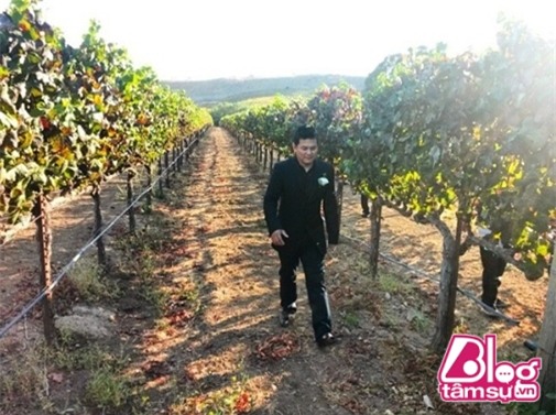 dam-cuoi-ngoc-trinh-ty-phu-hoang-kieu-blogtamsuvn13