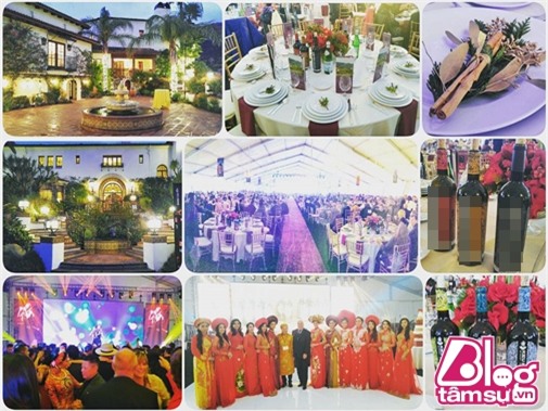 dam-cuoi-ngoc-trinh-hoang-kieu-blogtamsuvn1