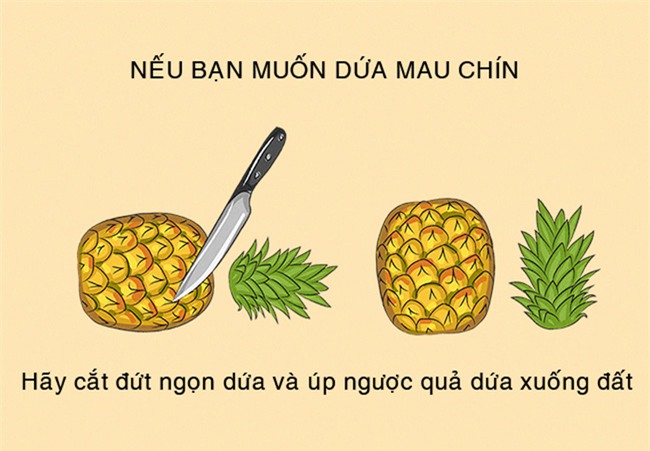 Những mẹo nấu ăn nhỏ cực hay giúp bạn nấu ăn dễ dàng hơn - Ảnh 7.