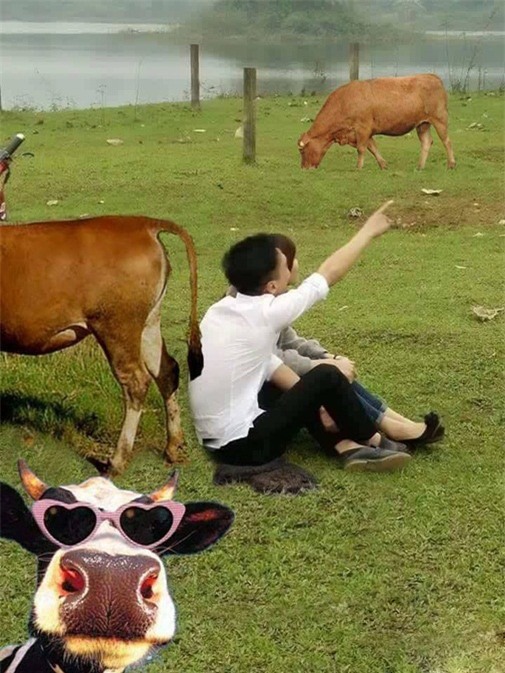 cac cap doi khoc thet vi trot dai len mang nho photoshop - 2