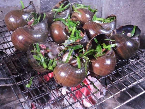 Ảnh chỉ mang tính minh họa