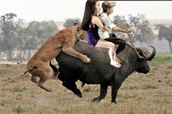 cac cap doi khoc thet vi trot dai len mang nho photoshop - 13