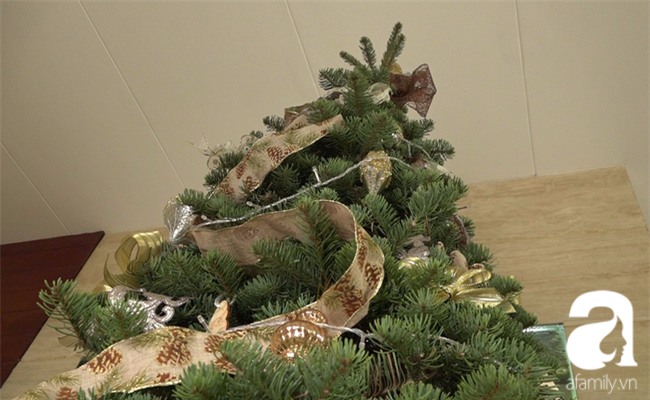 Cận Giáng sinh, cây thông Noel thật nhập từ Mỹ, giá bạc triệu vẫn hút hàng ở Sài Gòn - Ảnh 3.