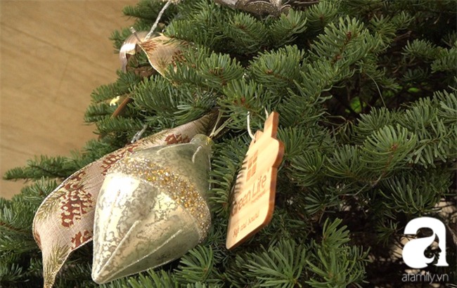 Cận Giáng sinh, cây thông Noel thật nhập từ Mỹ, giá bạc triệu vẫn hút hàng ở Sài Gòn - Ảnh 4.