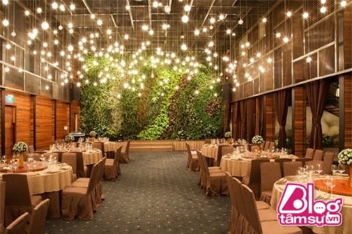 dam-cuoi-tran-thanh-blogtamsuvn012