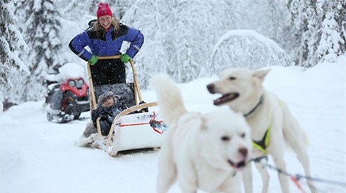 don giang sinh doc nhat vo nhi o 