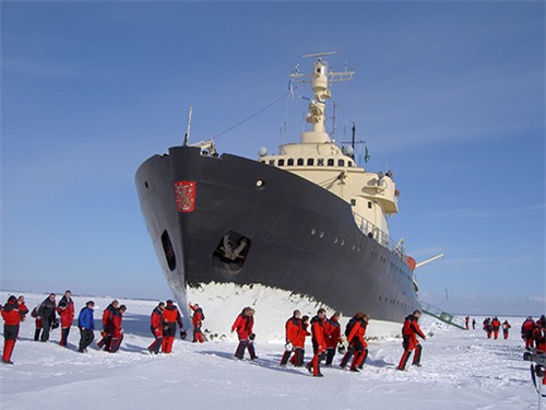 don giang sinh doc nhat vo nhi o 