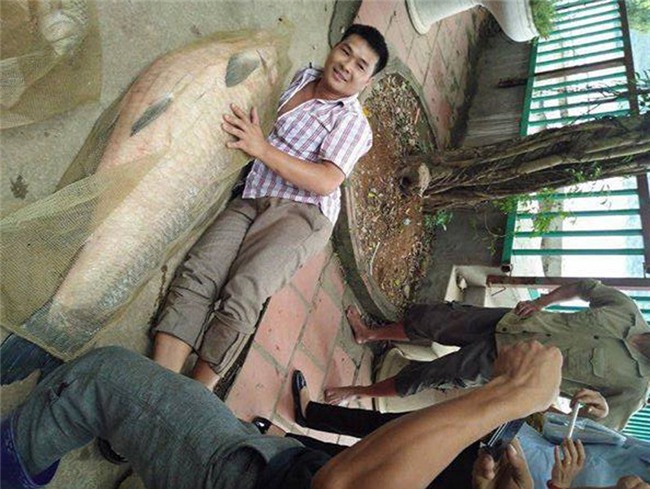 10 loai dong vat doc la 