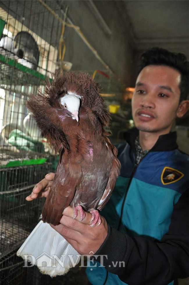 10 loai dong vat doc la