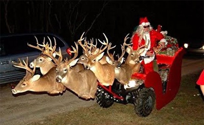 giat minh voi hinh anh "hiem thay" cua ong gia noel hinh anh 5