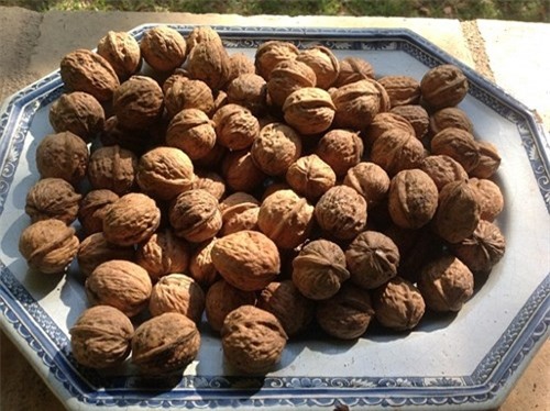 Dùng lựu đạn làm... chày suốt 25 năm mà không hay biết ảnh 2