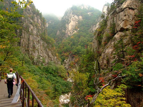 Sứ mệnh đặc biệt của Xuân Trường tại Gangwon FC - Ảnh 4.