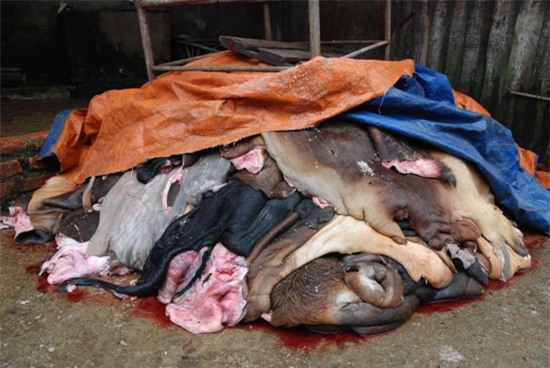 4 vấn đề sức khỏe nổi trội trong năm 2016 khiến ai cũng giật mình lo lắng cho bản thân - Ảnh 4.