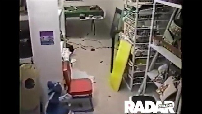 Bên trong tầng hầm nơi hoa hậu nhí bị giết chết ngay lễ Noel trong vụ án 20 năm chưa có lời giải - Ảnh 4.