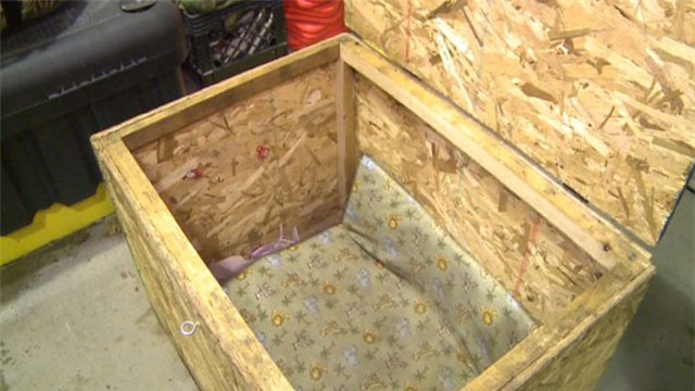 Mỹ: Bé gái 3 tuổi bị cha mẹ nhốt trong chiếc thùng gỗ chứa đầy côn trùng - Ảnh 2.