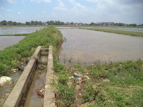 ai la hung thu gay an khien ong han duc long bi oan? hinh anh 1