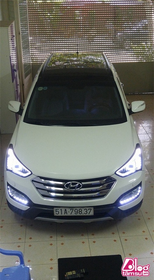 anh trai ngoc trinh blogtamsuvn (4)