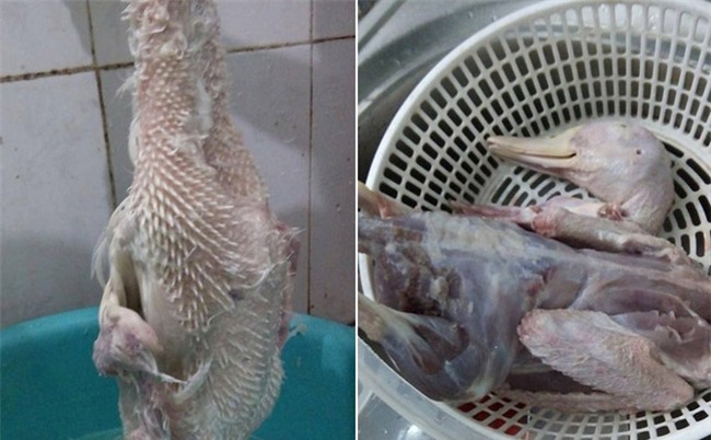 Cô gái trổ tài nhổ lông vịt khiến mẹ chồng tương lai 