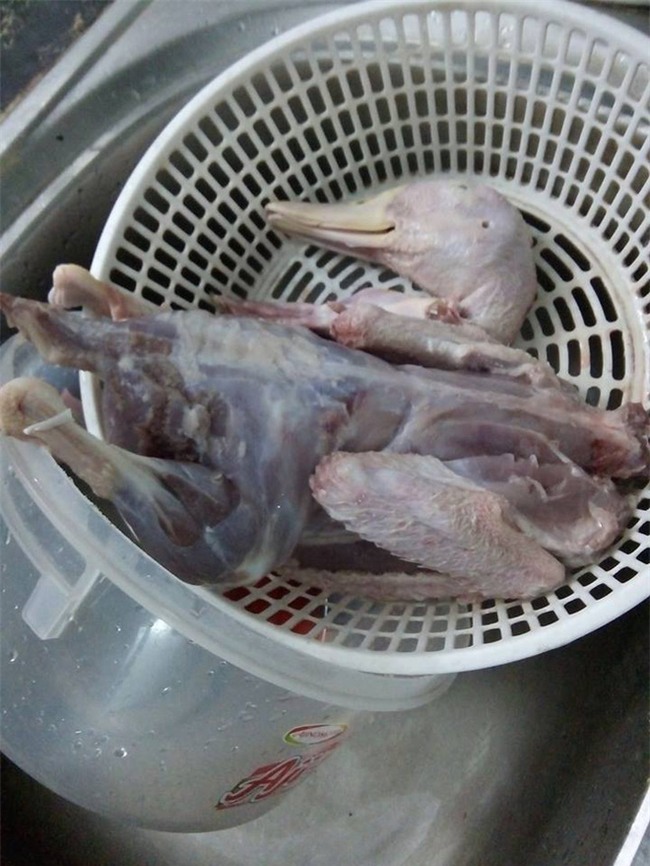 Cô gái trổ tài nhổ lông vịt khiến mẹ chồng tương lai khóc ròng - Ảnh 3.