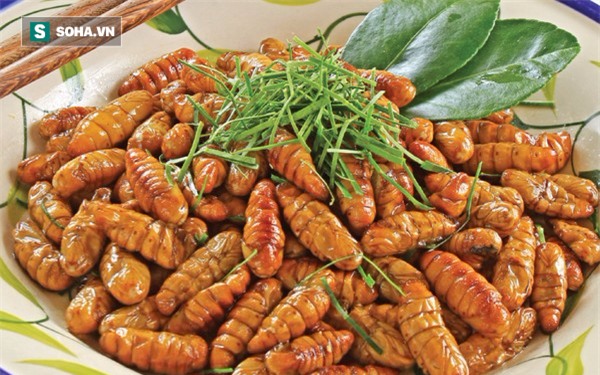 Loại thực phẩm rẻ tiền ở Việt Nam được Trung y coi là thần dược bổ thận tráng dương - Ảnh 5.