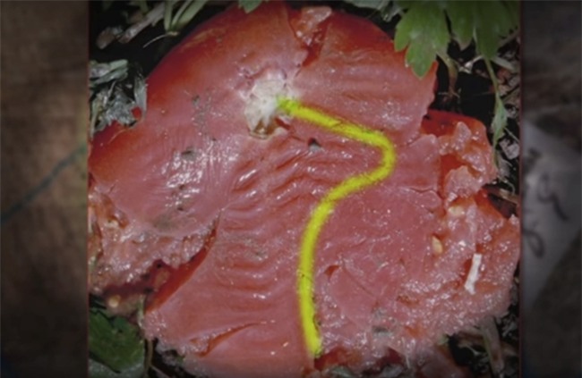 Am muu giet hang xom cua van dong vien Olympic (ky 2) hinh anh 1