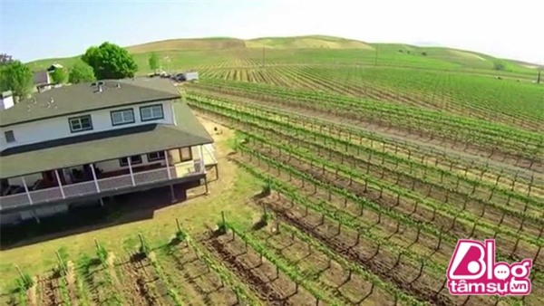 hoang kieu blogtamsuvn (5)