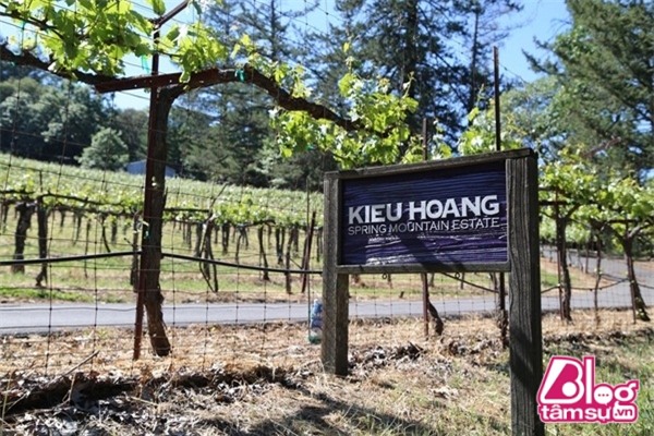 hoang kieu blogtamsuvn (6)