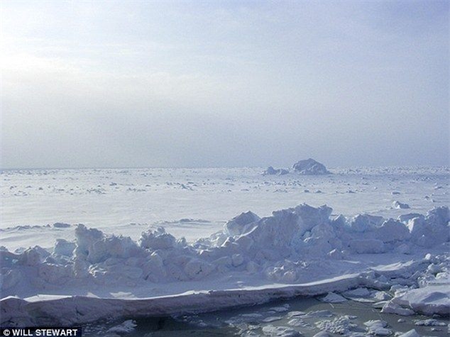 Hai vợ chồng sống sót thần kỳ trong đêm Noel khi ngủ ngoài trời lạnh - 50 độ - Ảnh 2.