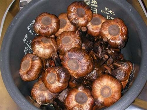 giam 5kg/tuan de ot voi cach lam hon hop bia toi sau day - 6