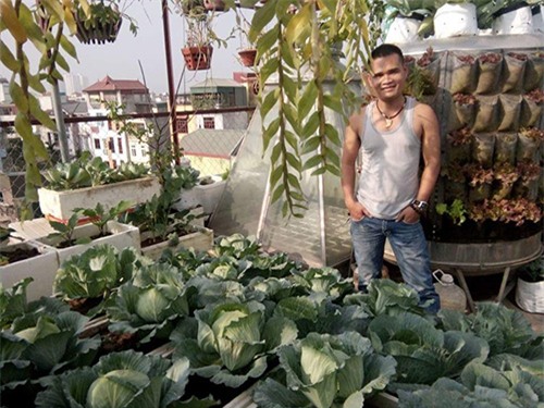 ong bo dam trong rau sach, tha ca tren san thuong phuc vu vo con - 1