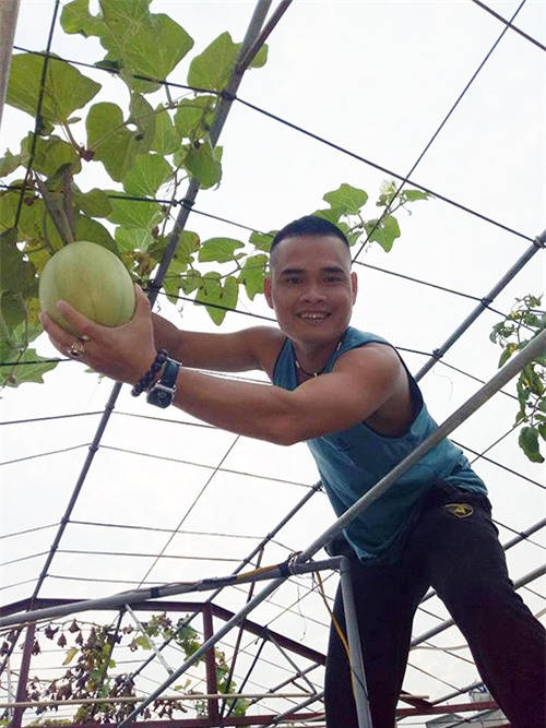 ong bo dam trong rau sach, tha ca tren san thuong phuc vu vo con - 19