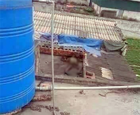 Kinh hoàng phát hiện xác chết đang phân hủy trên mái nhà - Ảnh 1.