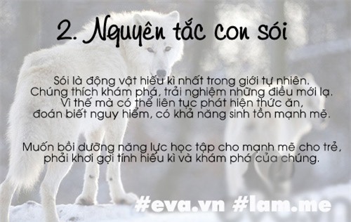 4 bai hoc nuoi day con nhieu me viet doc nhat 2016, ai chua biet kho nuoi con gioi - 10