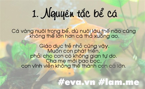 4 bai hoc nuoi day con nhieu me viet doc nhat 2016, ai chua biet kho nuoi con gioi - 9