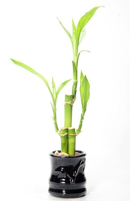 8 meo vat don gian giup thu hut tien bac, tai loc trong nam 2017 - 2