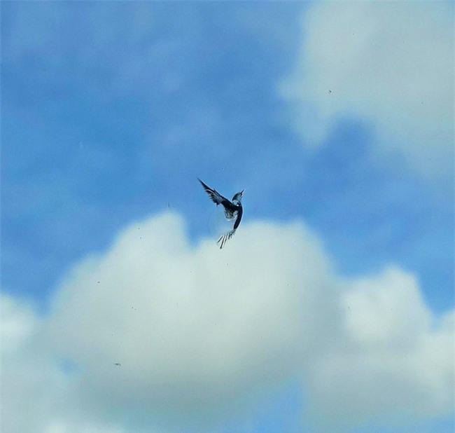 Bạn có tin 25 bức ảnh này không dùng Photoshop không? Tin đi, ảnh thật 100% đó! - Ảnh 16.