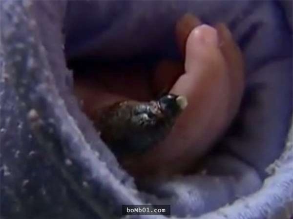 Chuyện không đơn giản, tóc mẹ có thể khiến con nhỏ mất cả chân tay đấy! - Ảnh 2.