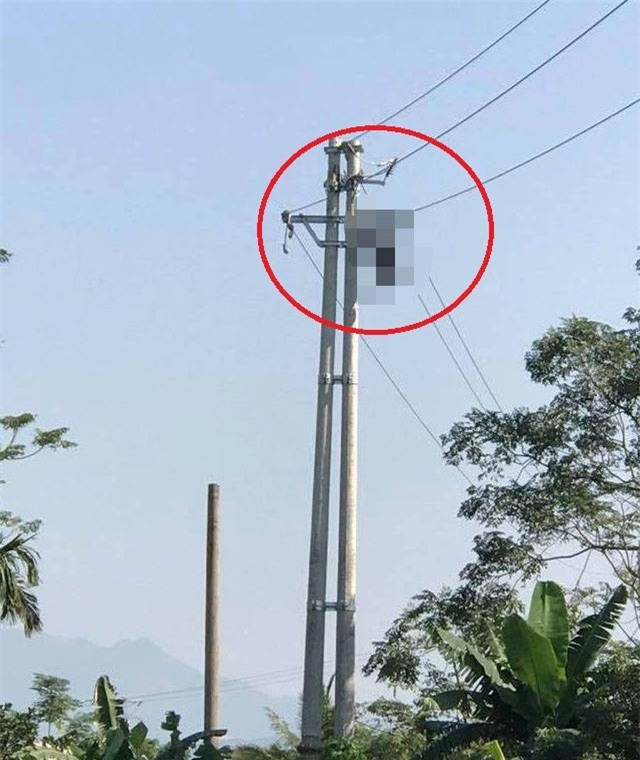 Người đàn ông bị điện giật cháy khô trên cột điện cao thế - 1