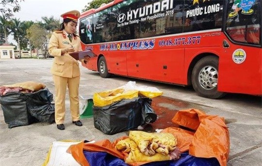 Số thịt heo được đưa vào Nam để phù phép thành thịt heo rừng mang đi tiêu thụ