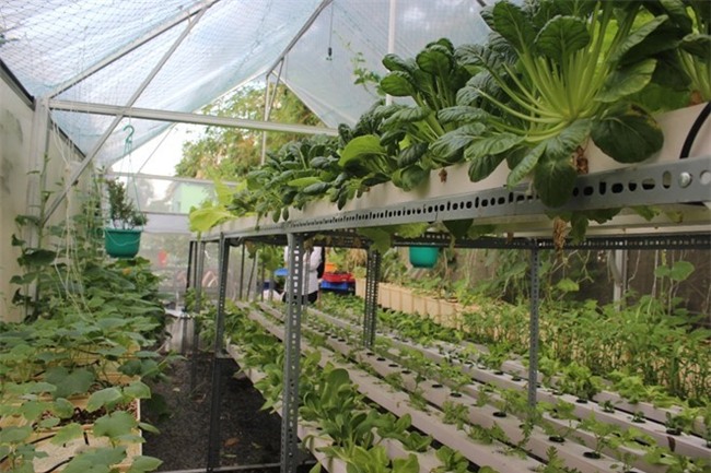 5 nam sau, mot nua dan so moi tiep can thuc pham an toan hinh anh 1