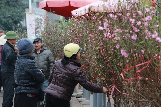 Đào Nhật Tân rực rỡ xuống phố đón Tết sớm - Ảnh 10.