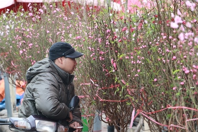 Đào Nhật Tân rực rỡ xuống phố đón Tết sớm - Ảnh 11.