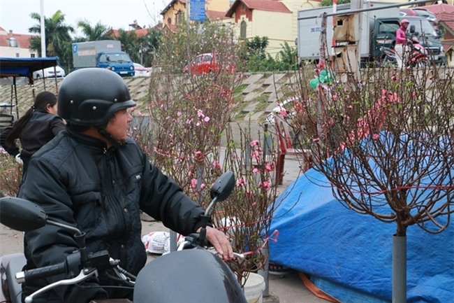 Đào Nhật Tân rực rỡ xuống phố đón Tết sớm - Ảnh 12.