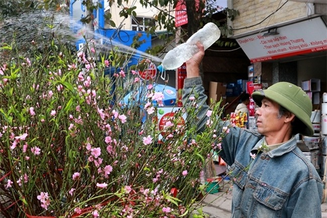 Đào Nhật Tân rực rỡ xuống phố đón Tết sớm - Ảnh 2.