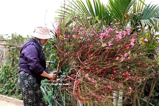 Đào Nhật Tân rực rỡ xuống phố đón Tết sớm - Ảnh 5.