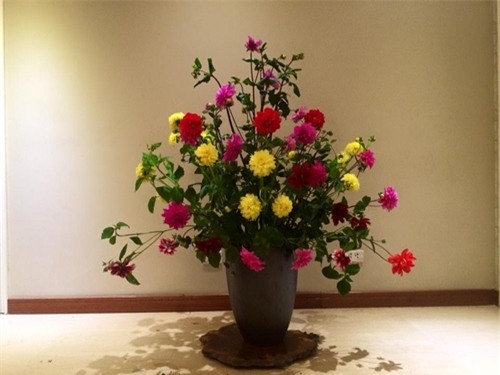 nam 2017, dat do vat gi o cac huong cua nha de hoa giai van xui, don tai loc? - 2