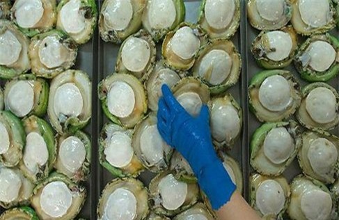 Bào ngư Úc 9 triệu/kg: Nhà giàu Việt dưỡng sức chơi Tết