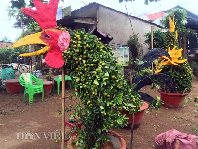 quat canh hinh ga sieu bat mat o mien tay hinh anh 5