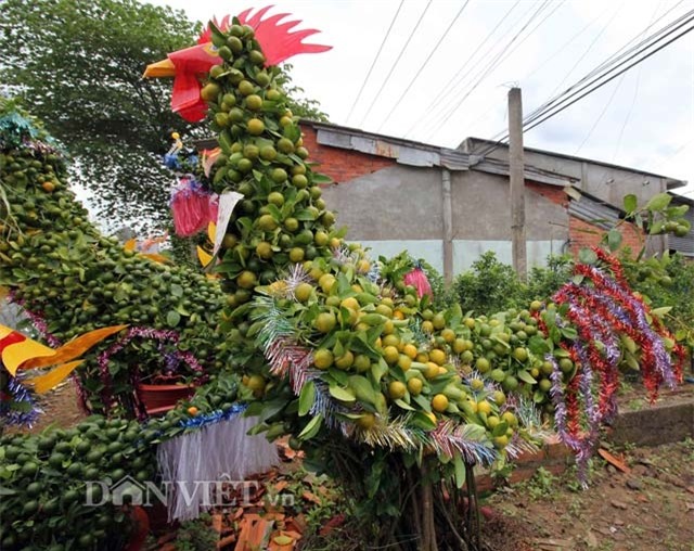 quat canh hinh ga sieu bat mat o mien tay hinh anh 8